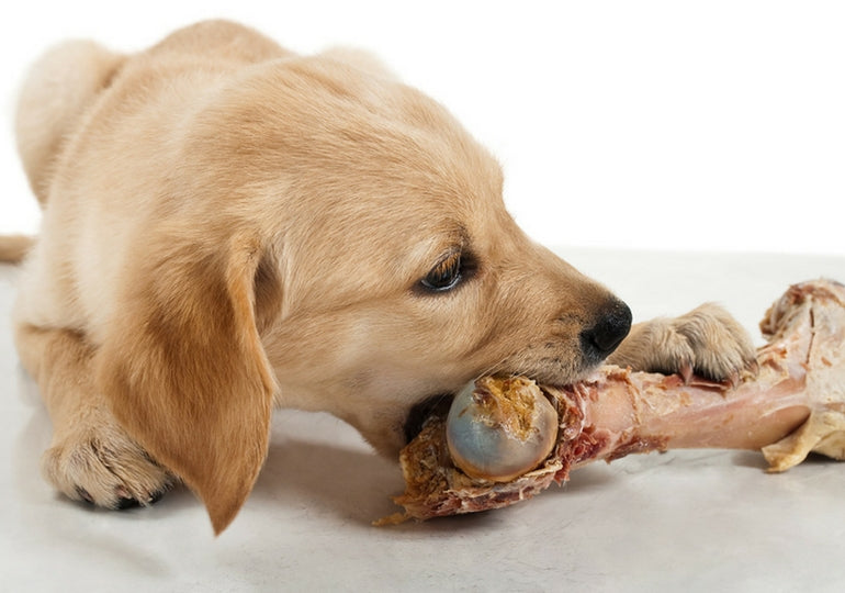 ON THE BONE