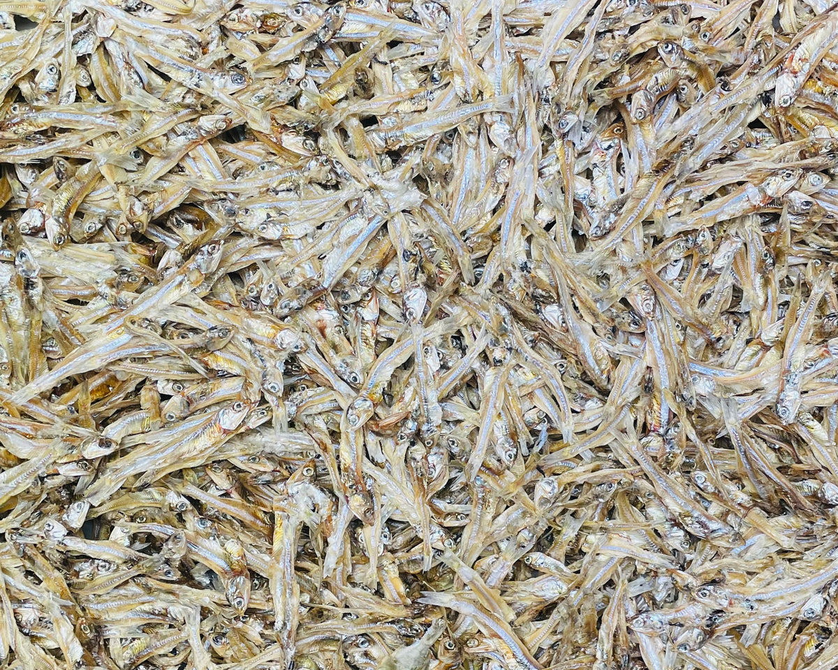 4oz BAG DEHYDRATED GLASS MINNOWS